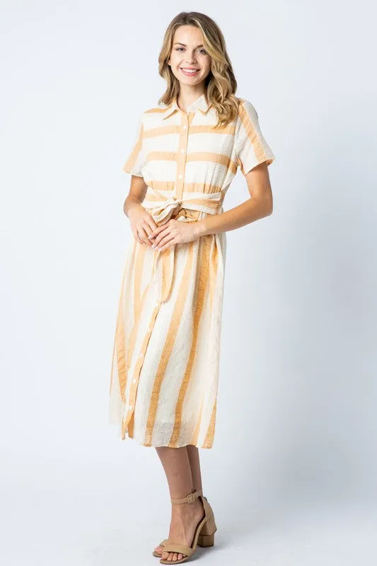 Alyssa Classy Collared Dress in Burnt Peach